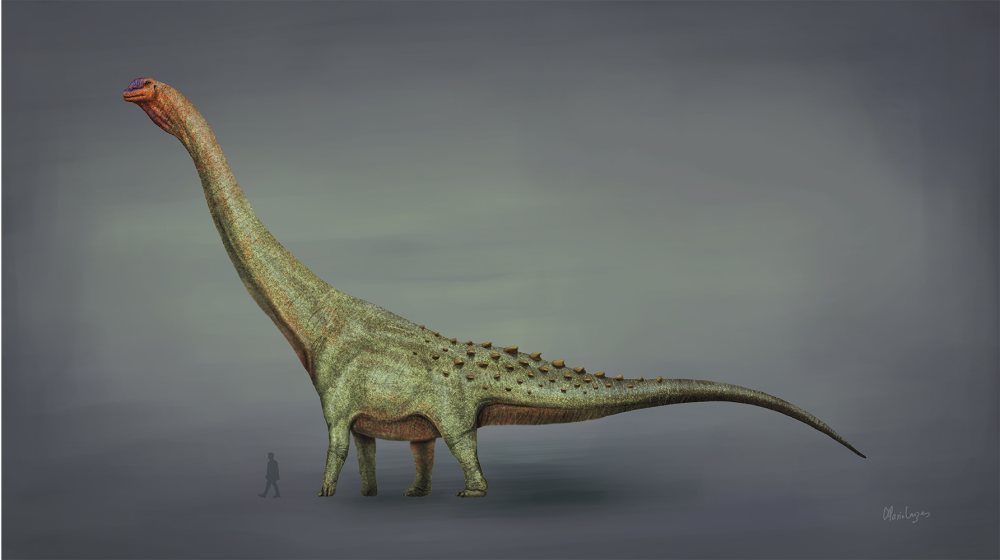 patagotitan illustration